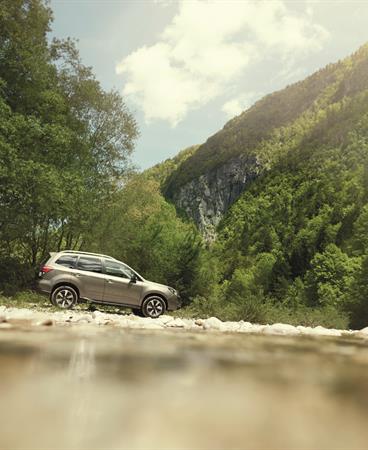 BRAND_PHOTOGRAPHY_SUMMER16_FORESTER_GRADE A_1511_300_CMYK HR